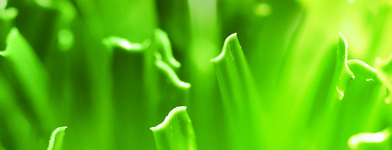 1673160239114680.jpg 2.jpg